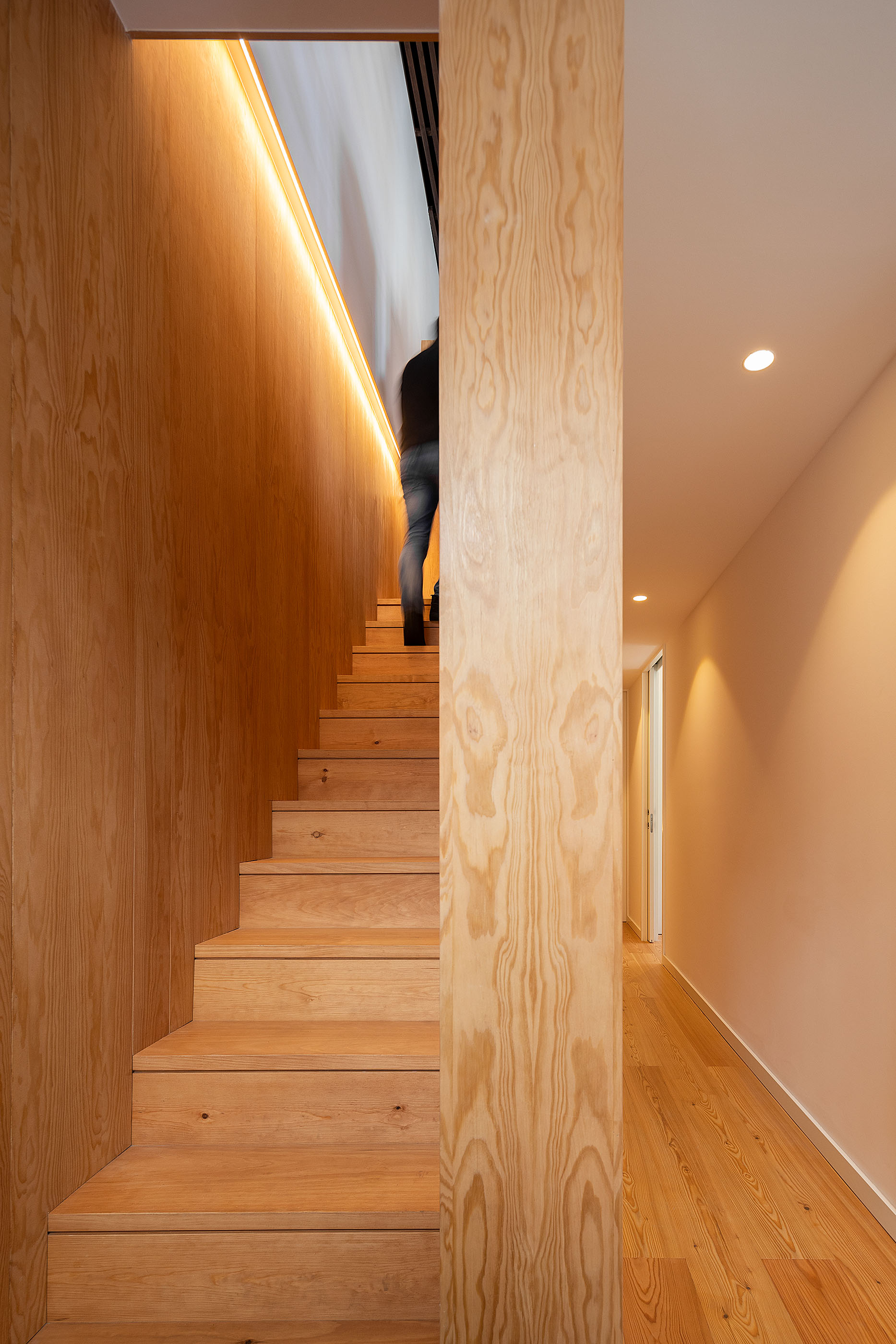 Casa em Castelo Branco do atelier de arquitetura Paulo Martins A