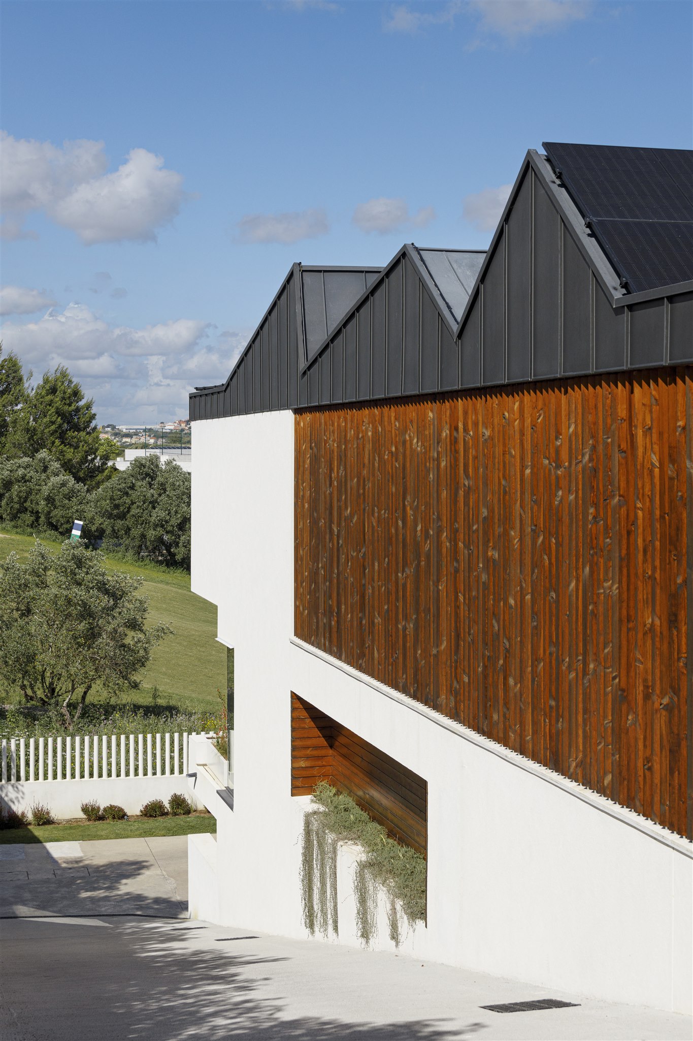 20240427-PAULO-MARTINS-ALCOUTINS