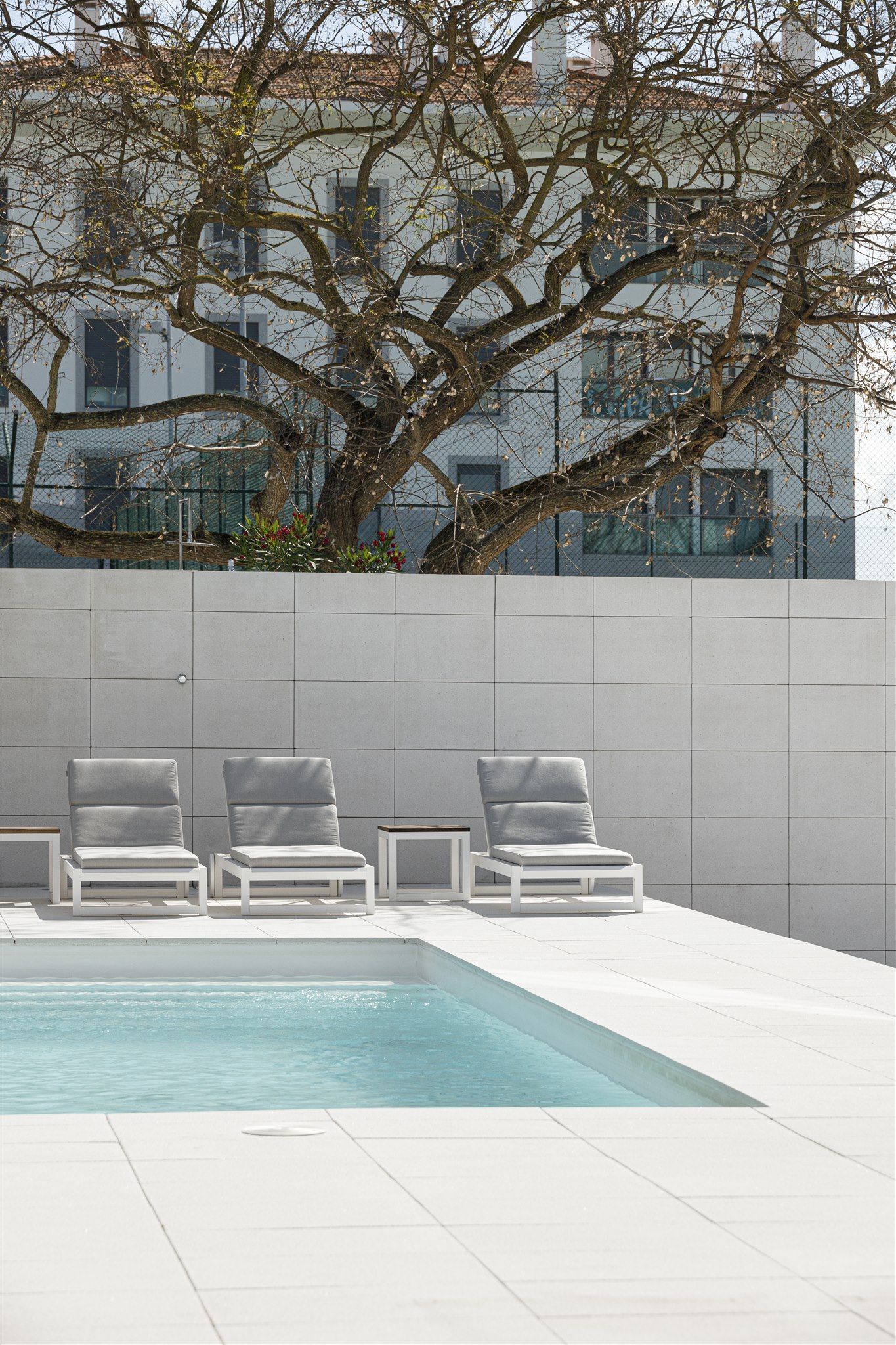 20240427-PAULO-MARTINS-ALCOUTINS