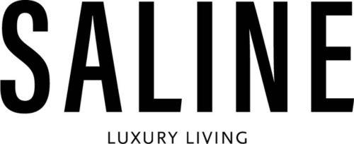 SALINE-logo-500x204
